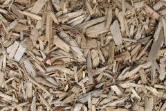 biomass boilers Outwoods